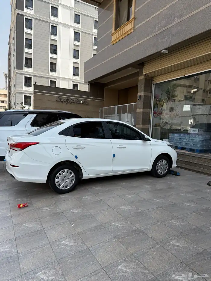 شنجان السفن 2024 2