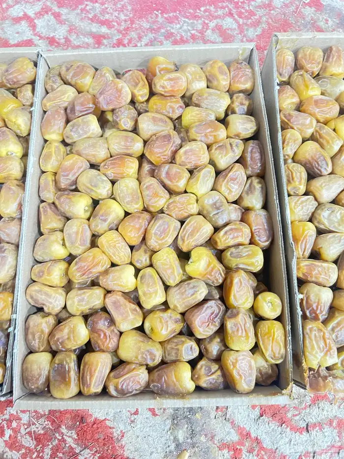 رطب سكري ملكي فاخر 6