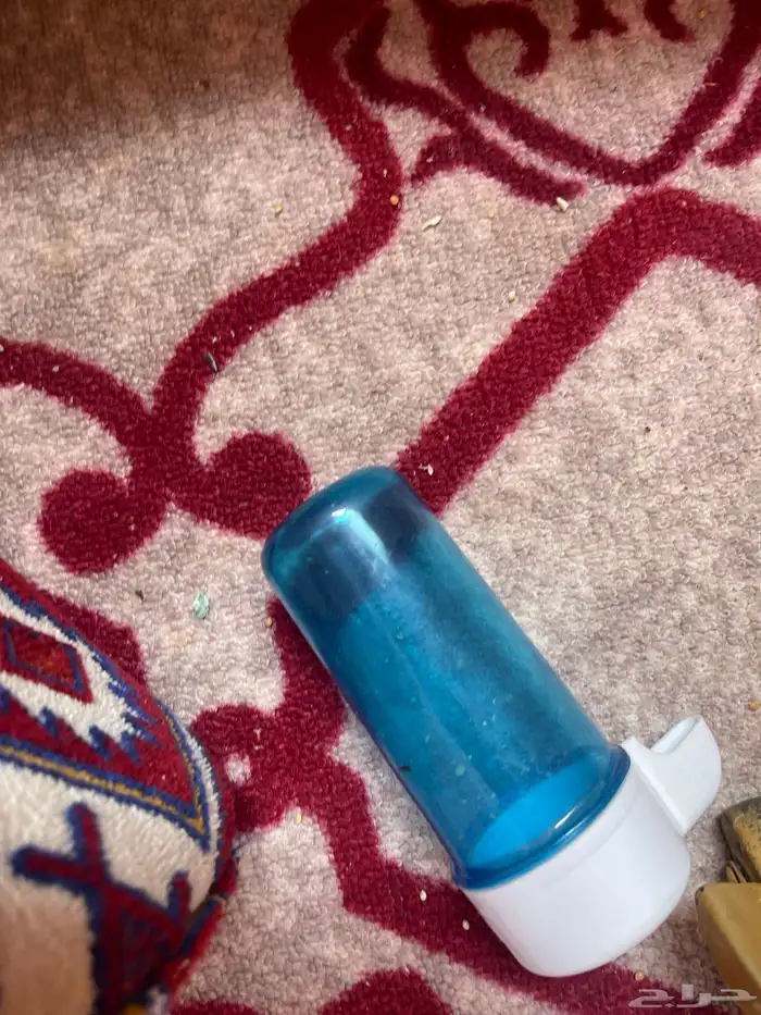 ببغاء روز 4