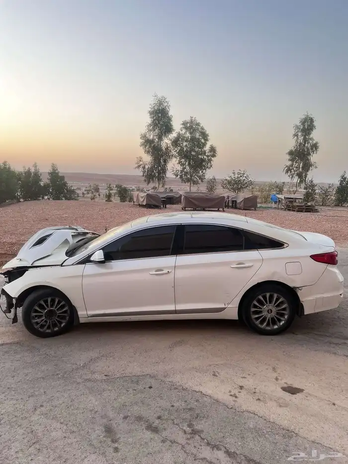 سوناتا 2017 10