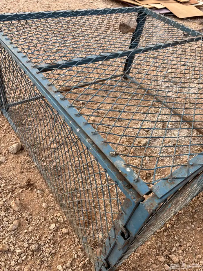 شبك طيور أو غنم 4