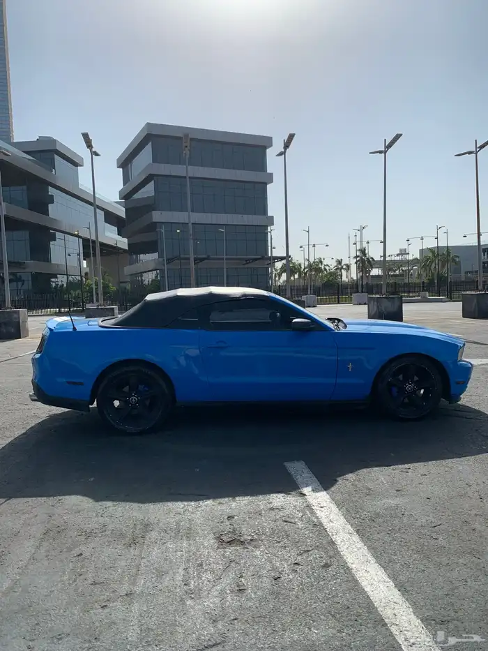 موستنج كشف 6