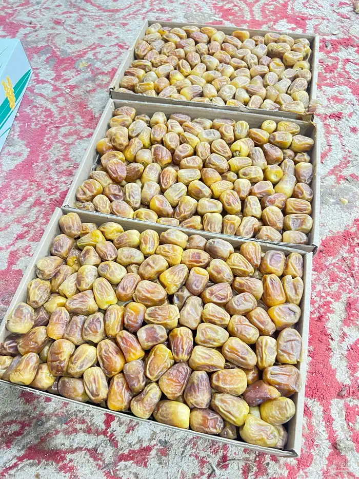 رطب سكري ملكي فاخر 2