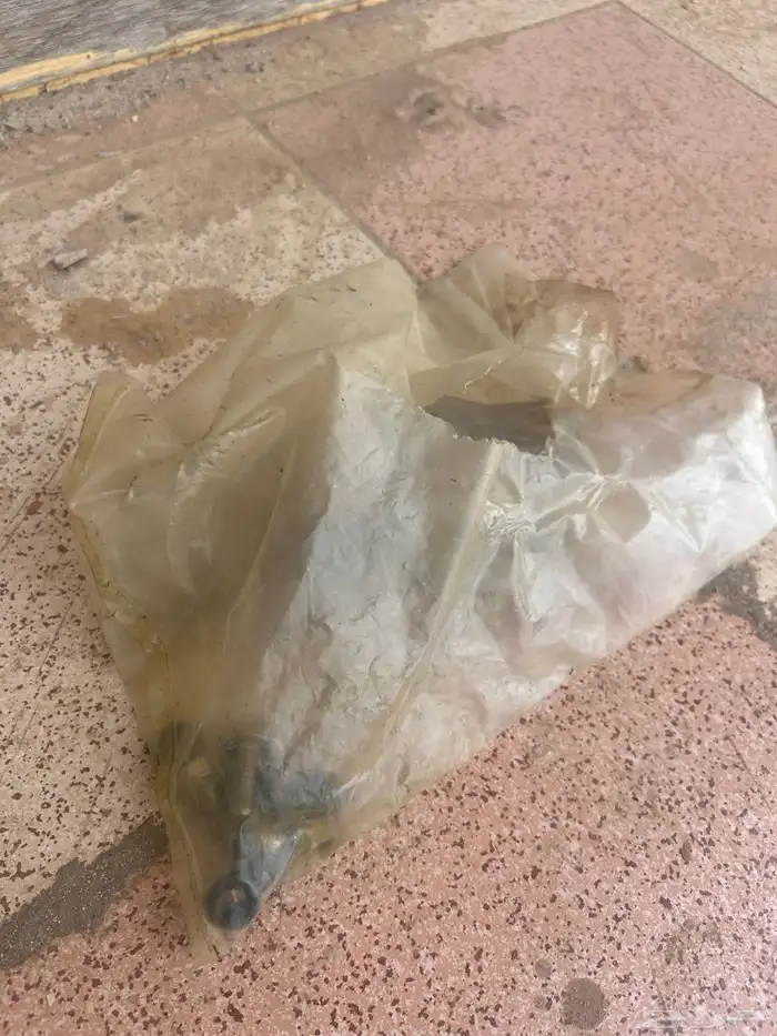 ركبه 2