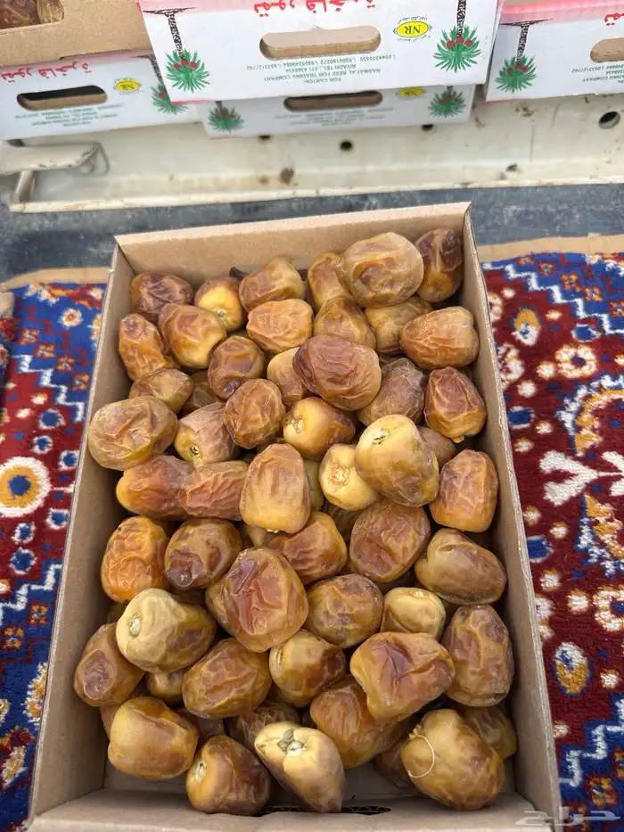 يوجد لدينا تمر سكري فاخر 2