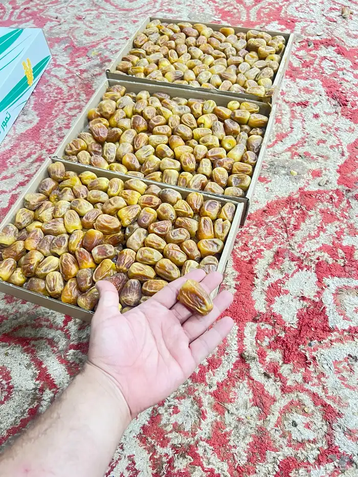 رطب سكري ملكي فاخر 1