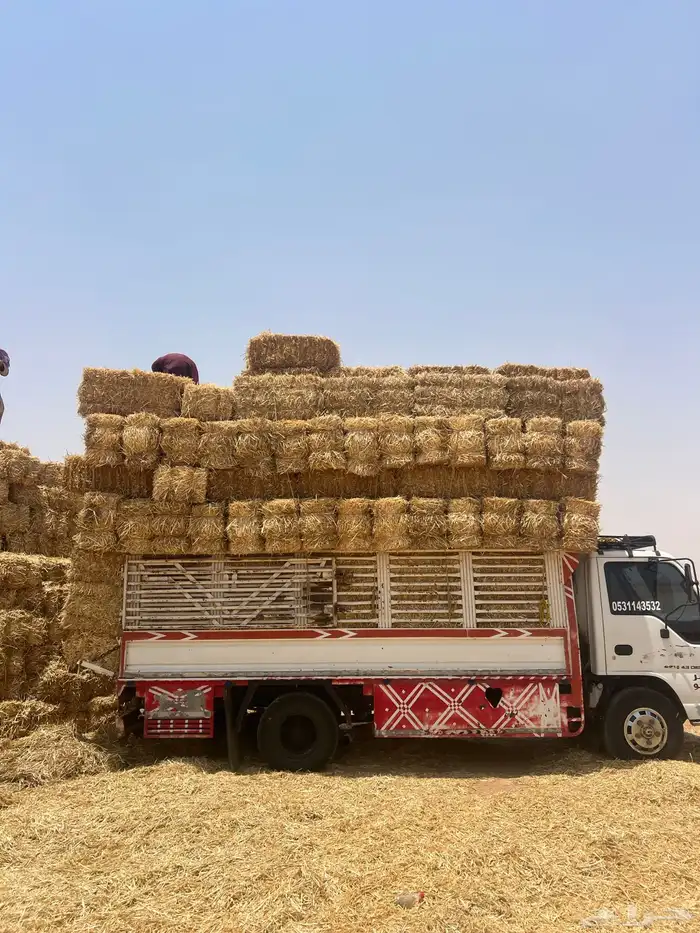 تبن بر صافي 2