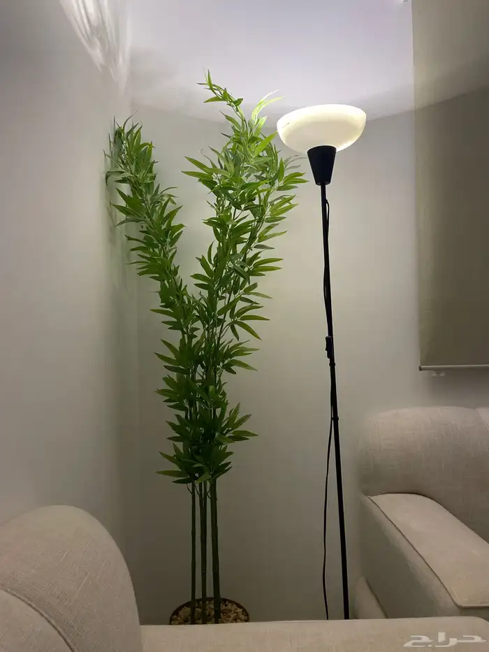 نبات صناعي 0