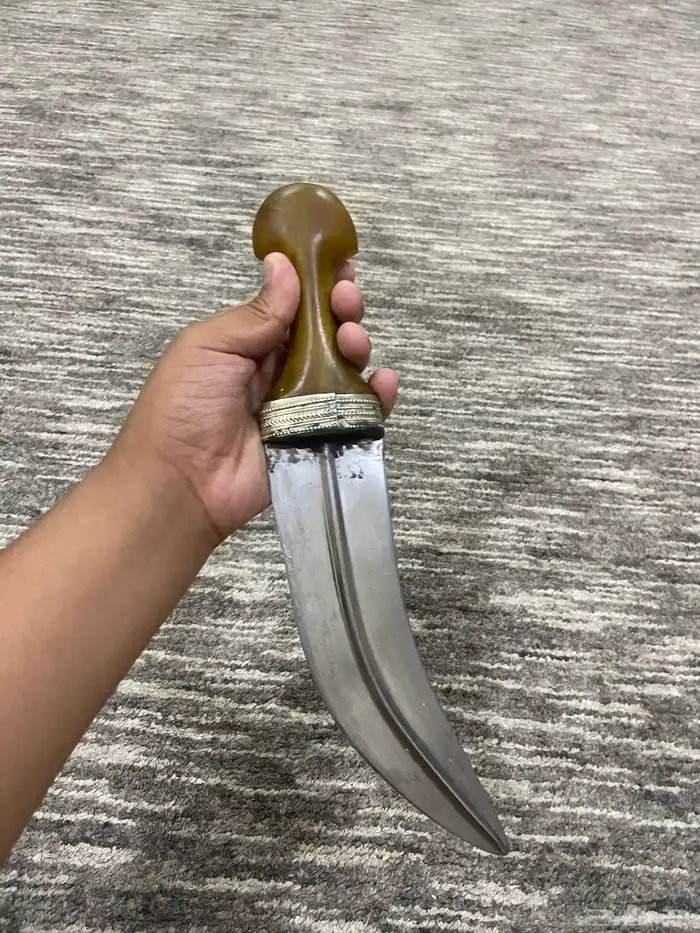 جنبيه حق زراف 0