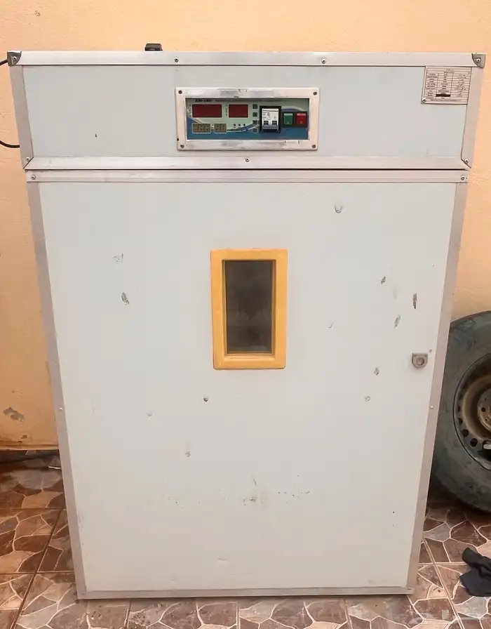فقاسه 1