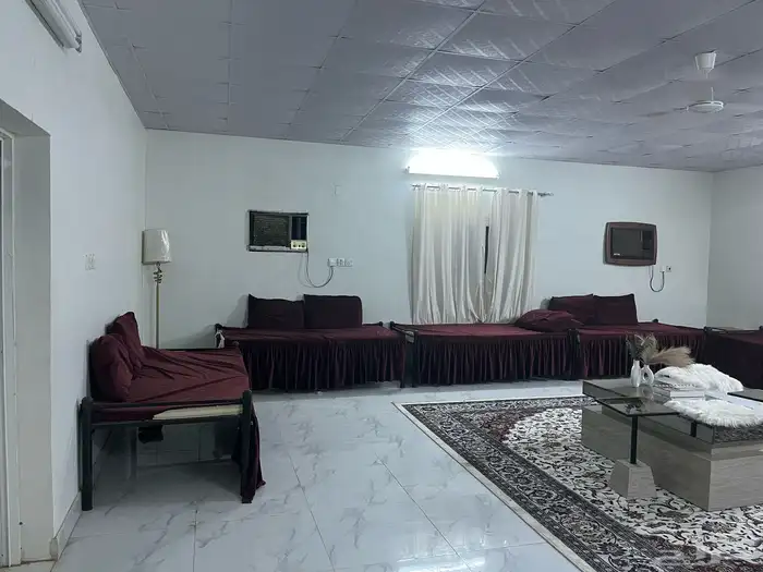 للبيع 3