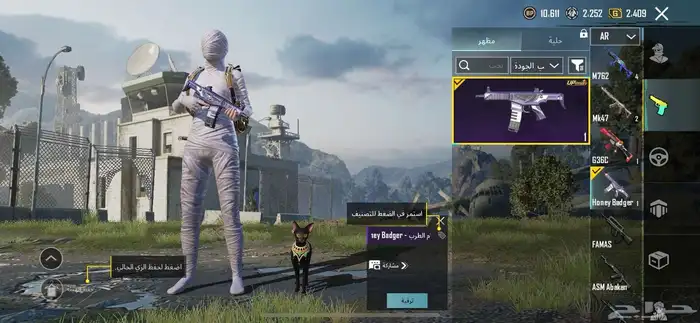 حساب ببجي للبيع على السوم 48