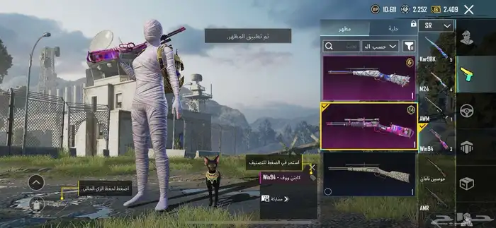 حساب ببجي للبيع على السوم 51