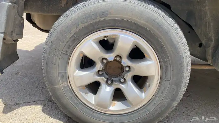 جنوط مقس 16للبيع 0