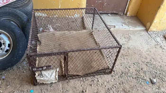 للبيع شبك يصلح لا دجاج او حمام او ارانب 0