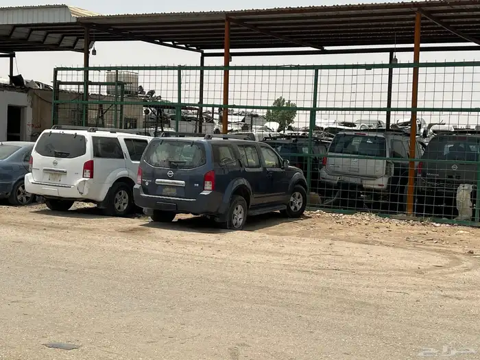 بافندر 2012 4