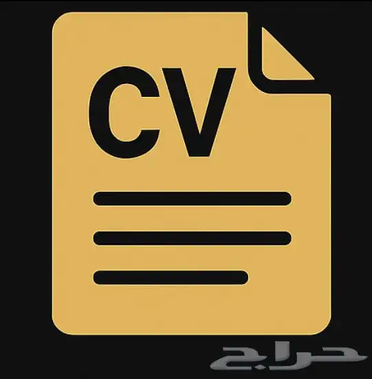 تصميم سيرة ذاتية احترافية (CV) بطريقة مرتبة وجذابة 0