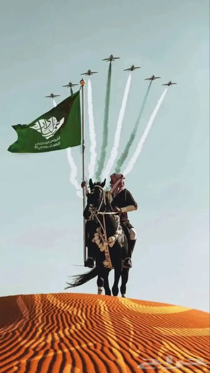 تصميم اليوم الوطني 0