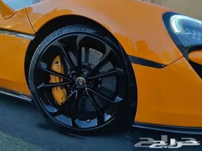 رش الجنوط وغيرها بمكانك وارخص سعر 2