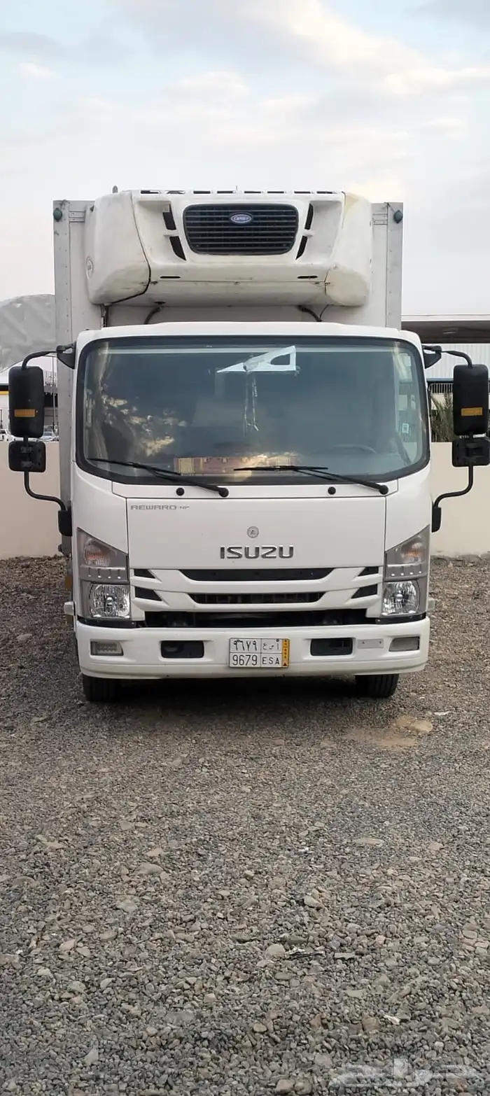 دينا للايجار 0