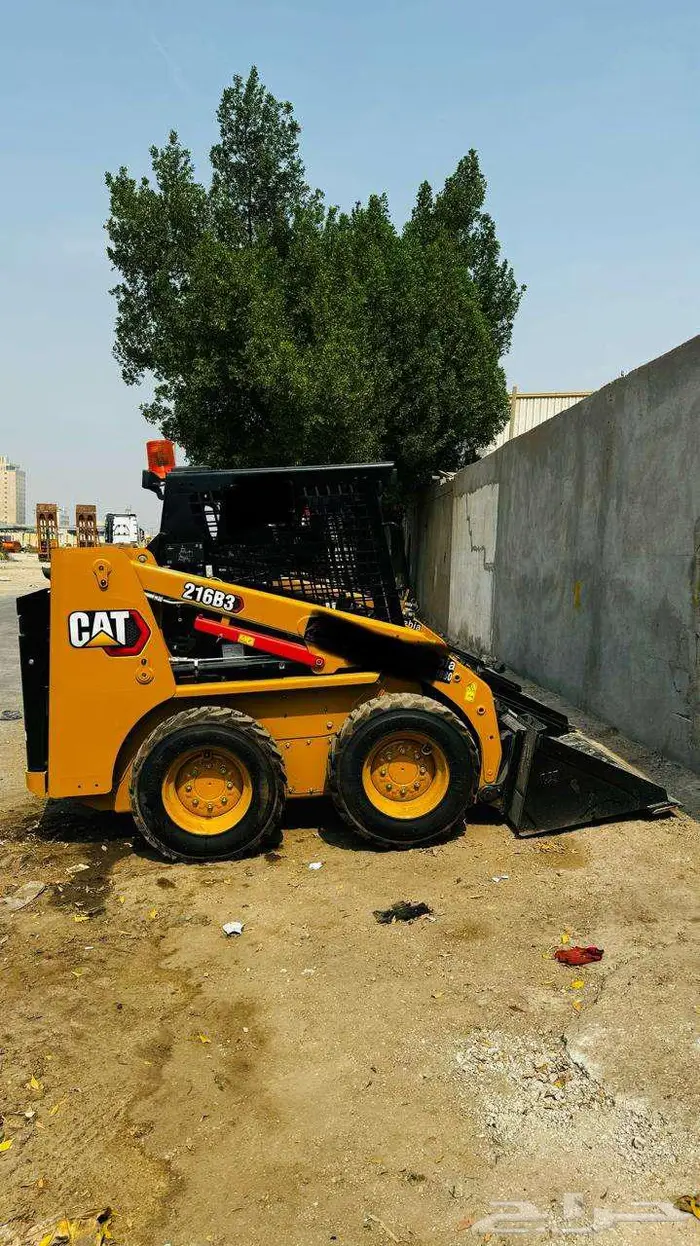 بوب كات للاجار بأسعار خيالية 0