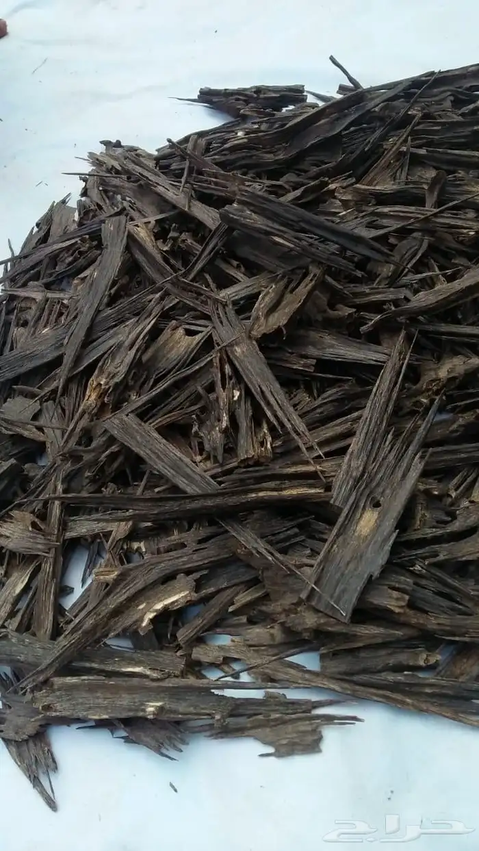 عود هندي تربل سوبر للبيع 0