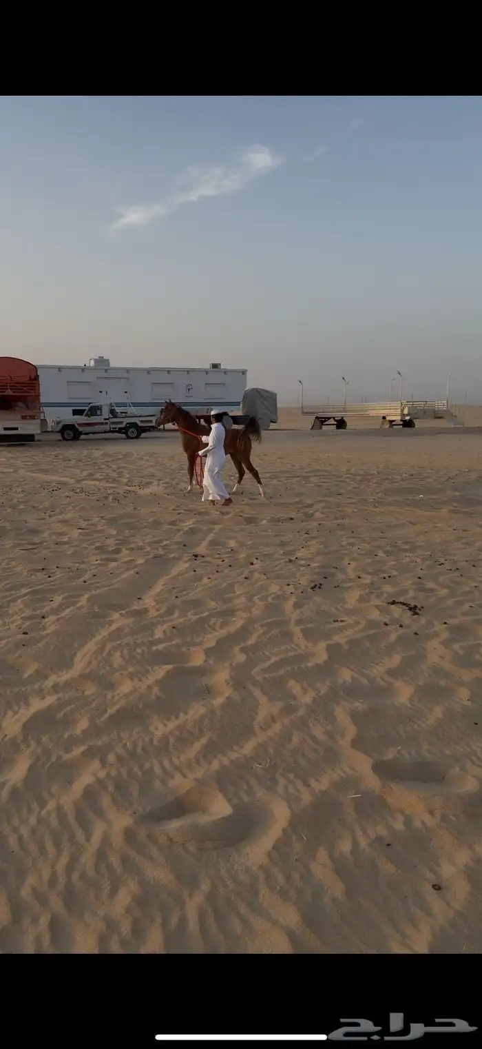 مهر واهو 4