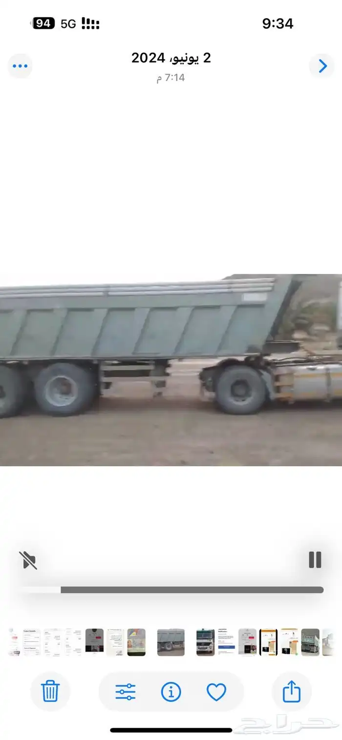 تيدر كلاب نظيف للبيع 3