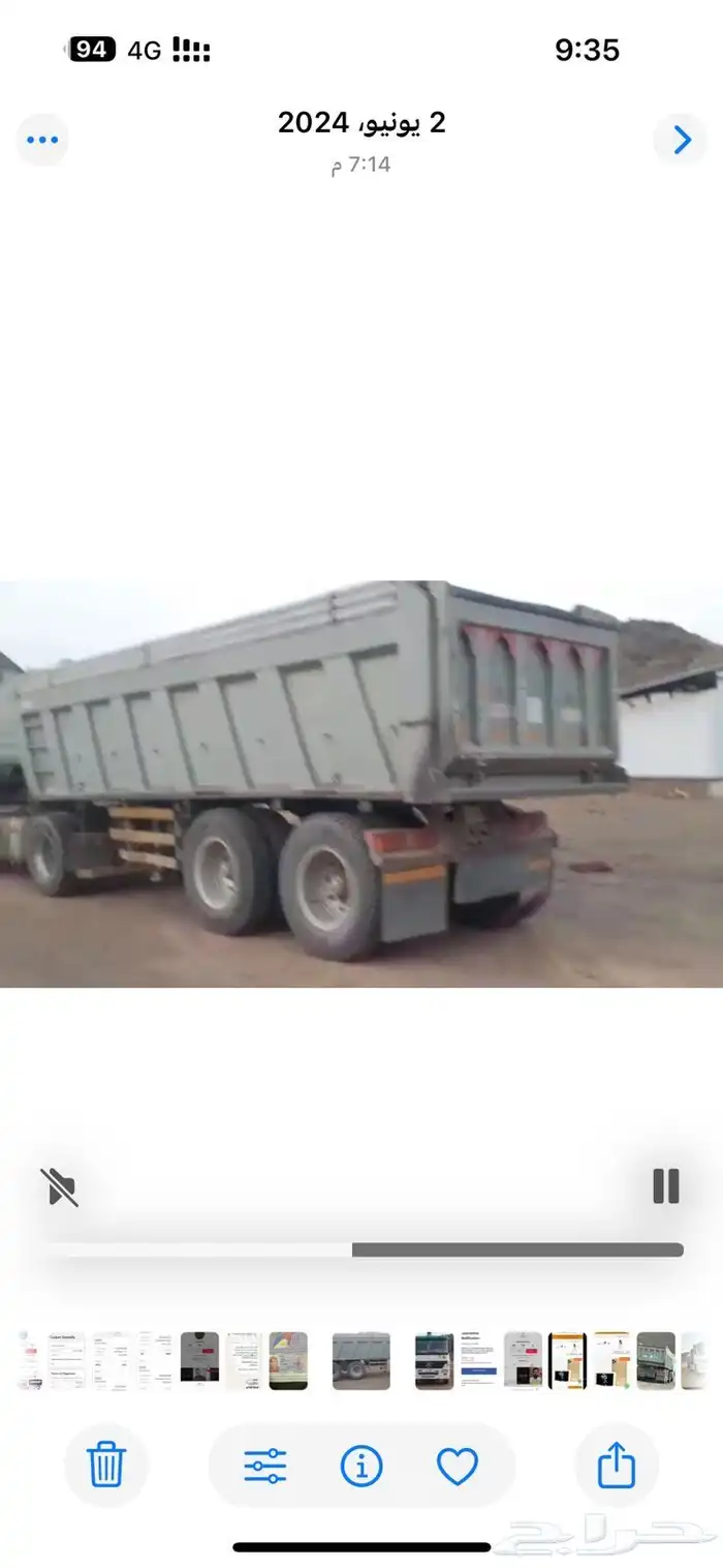 تيدر كلاب نظيف للبيع 1