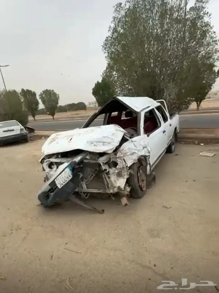 ددسن 2015 غمارتين 0