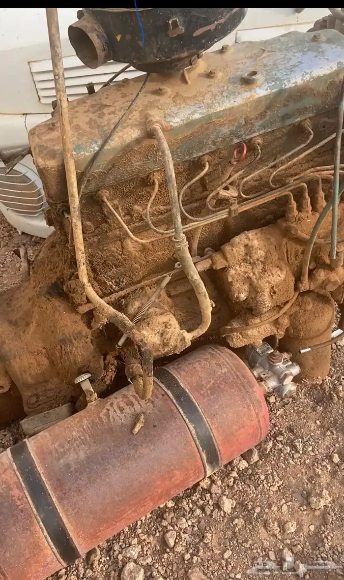 قطع حصنان 2