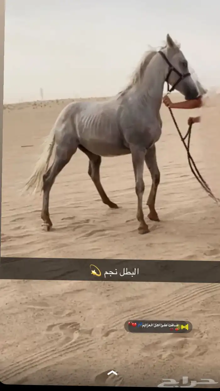 نجران 3