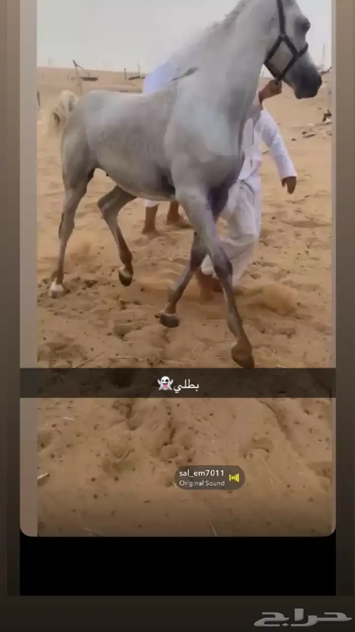 نجران 1
