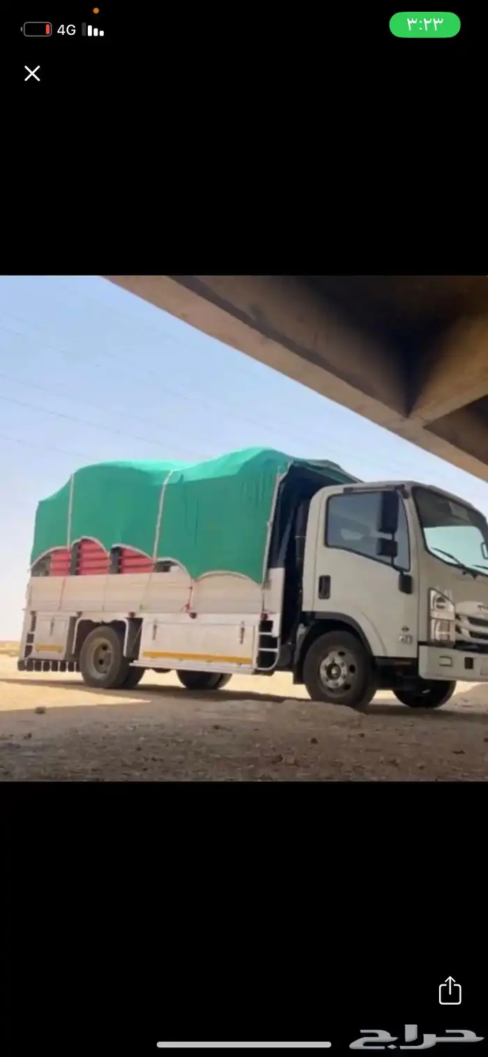 دينا البكيريه 0
