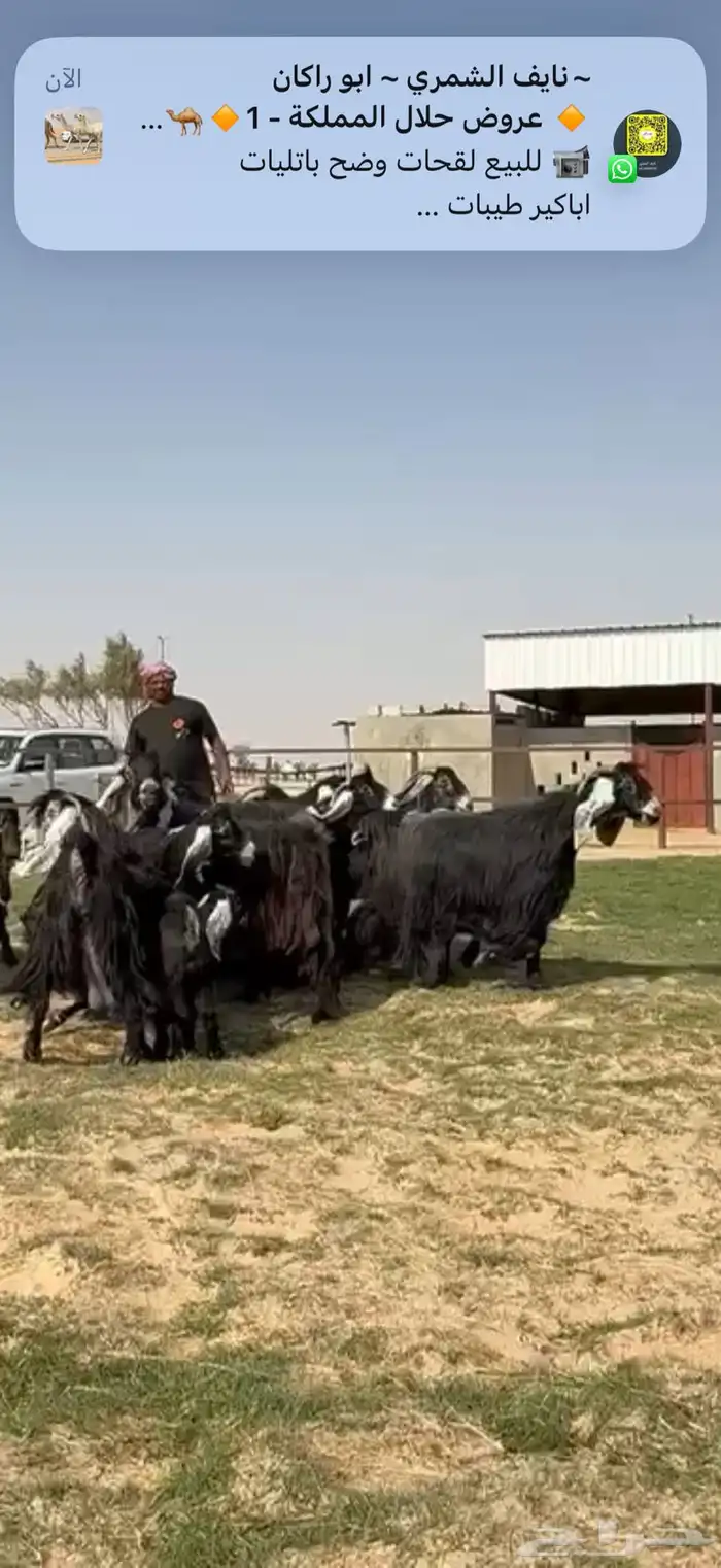 متابيع عوارض طيبه 3