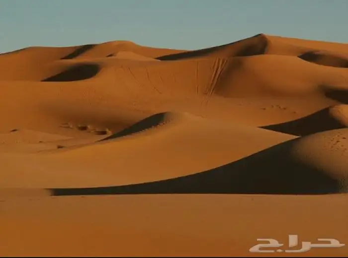 دركال رمل احمر 0