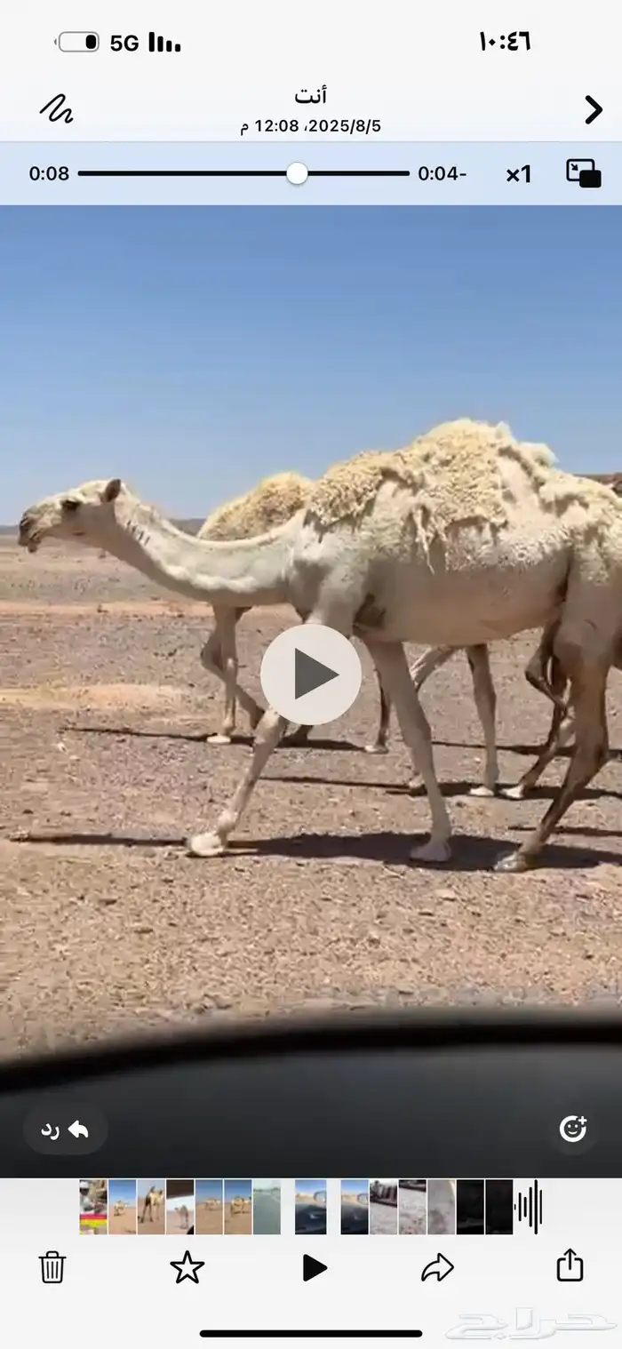 بكره مفروده عليانيه كفو اطيب من الصور 3