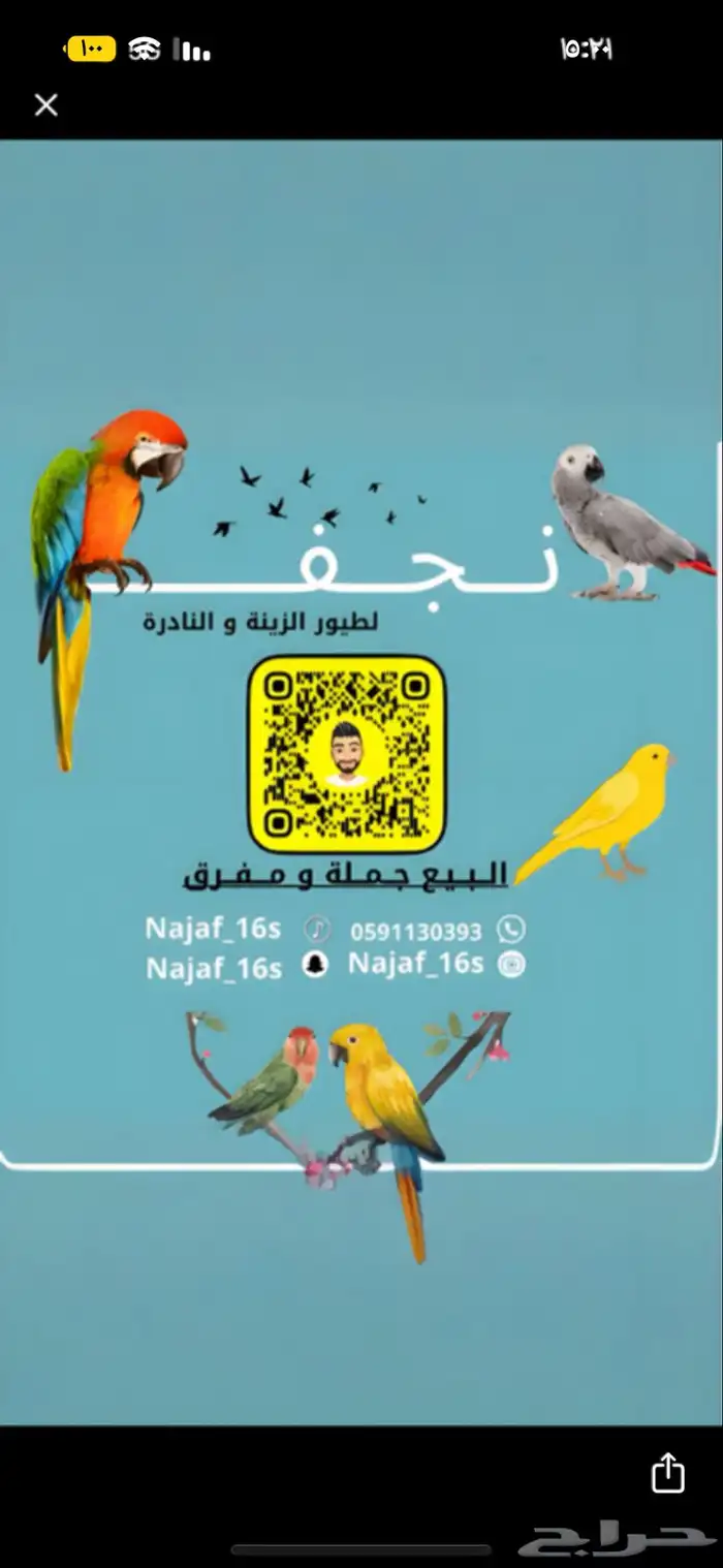 فرخ كاسكو اليف 1