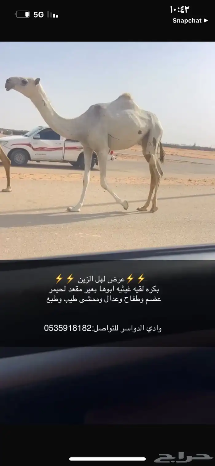 بكره غيثيه كفوو 0