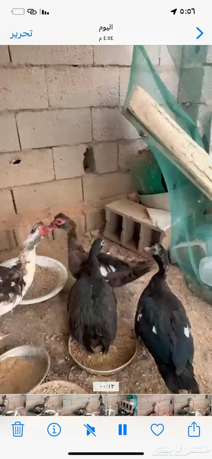 طبرجل 2