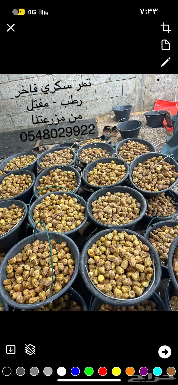 تمر سكري فاخر 4