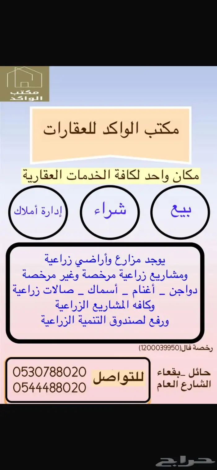 مكتب الواكد ببقعاء. مزارع تراخيص زراعيه قروض زراعيه وسكنيه 0