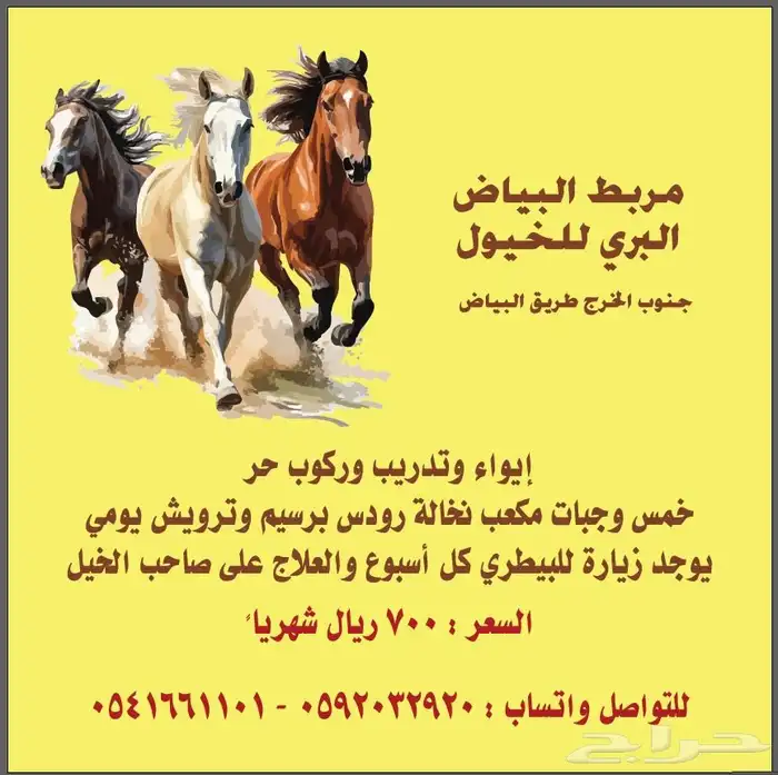 ايوا خيل 0