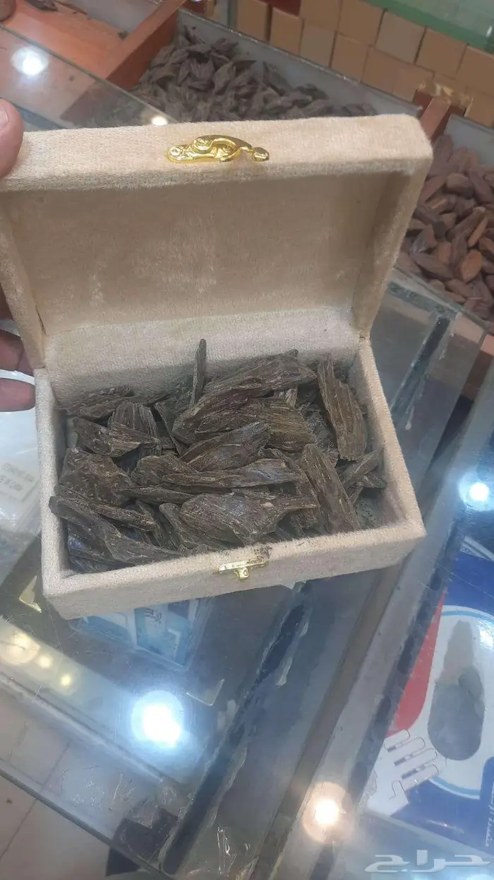الرياض الديره 0