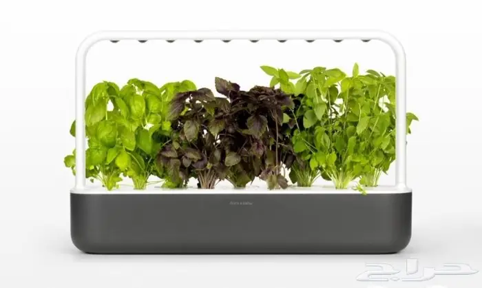 زراعة مائية نباتات داخلية 0