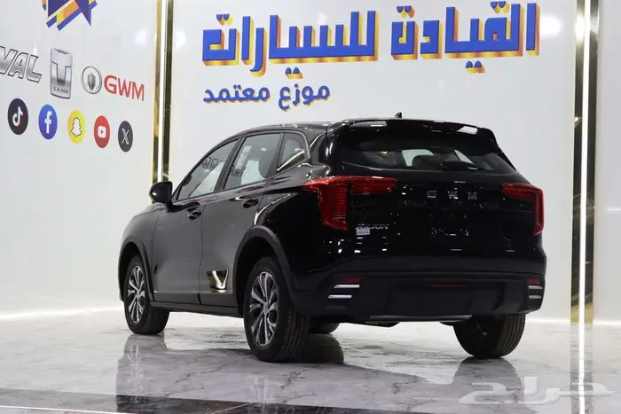 هافال جوليان بيسك موديل 2025 صيانه مجانيه 4