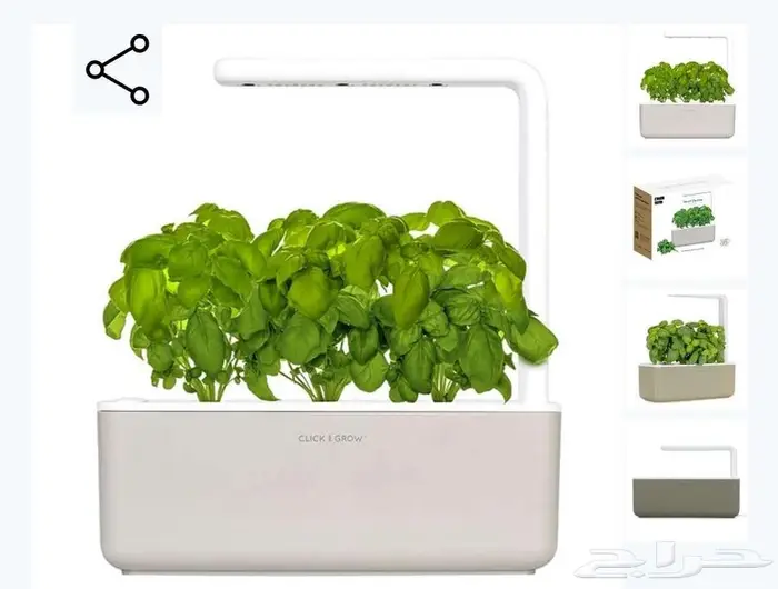 زراعة مائية نباتات داخلية 3