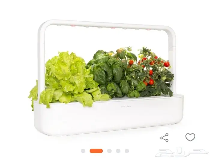 زراعة مائية نباتات داخلية 2