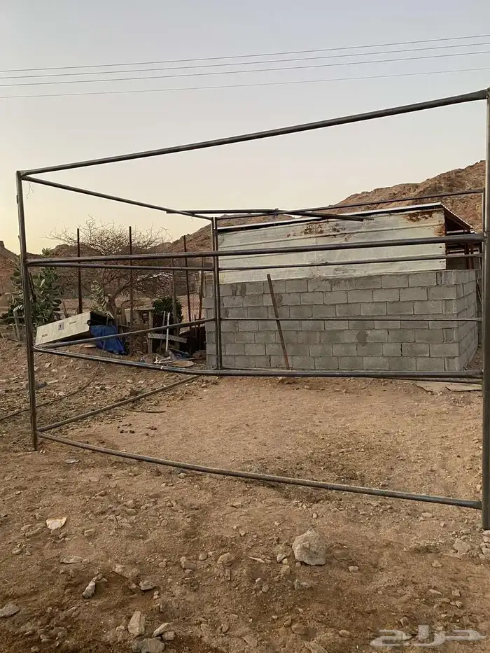 بايكة جديده 5