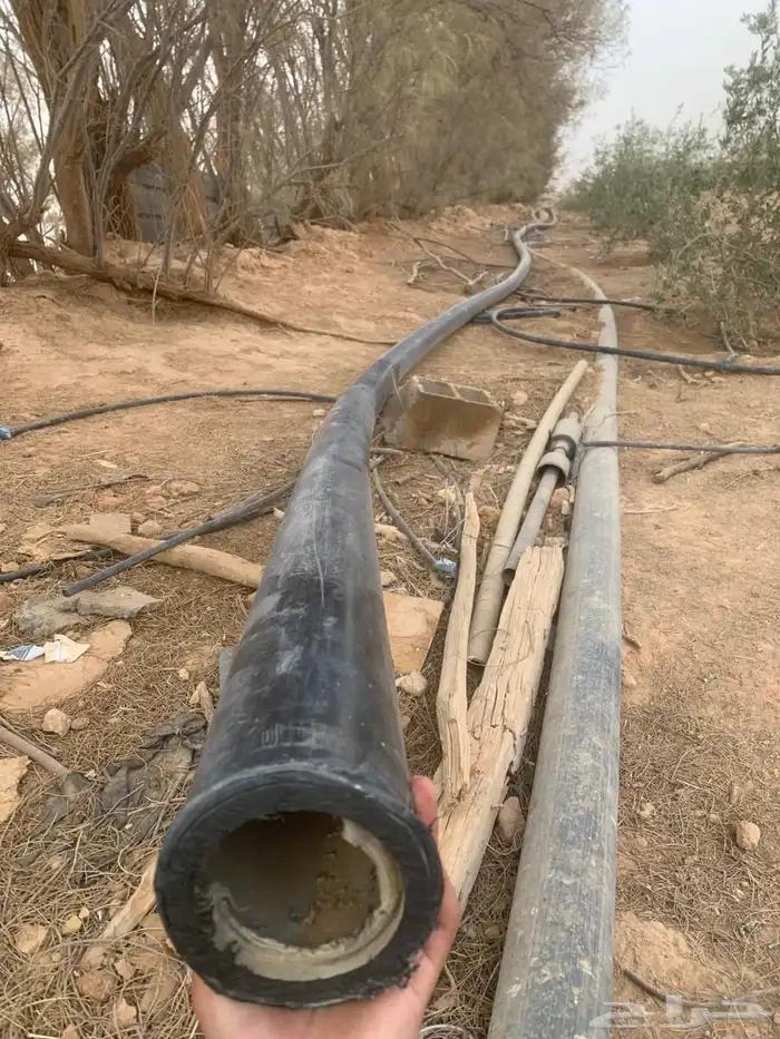 هوز 1